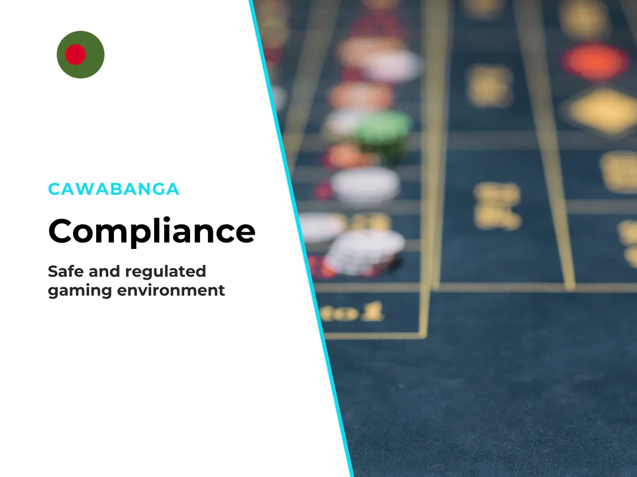 Licensing and operator obligations. In regulated