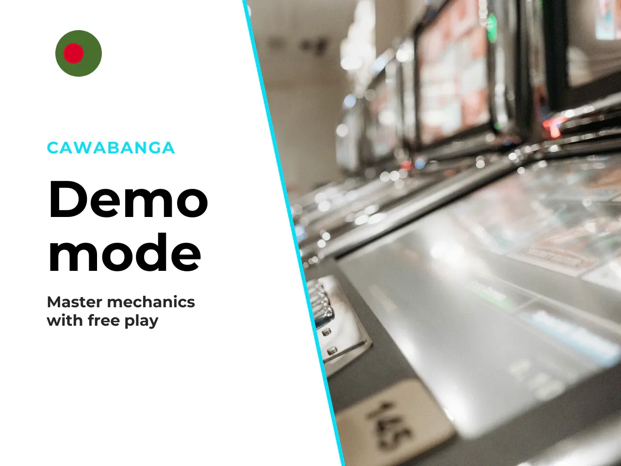 11.1 Nature of Demo Modes in