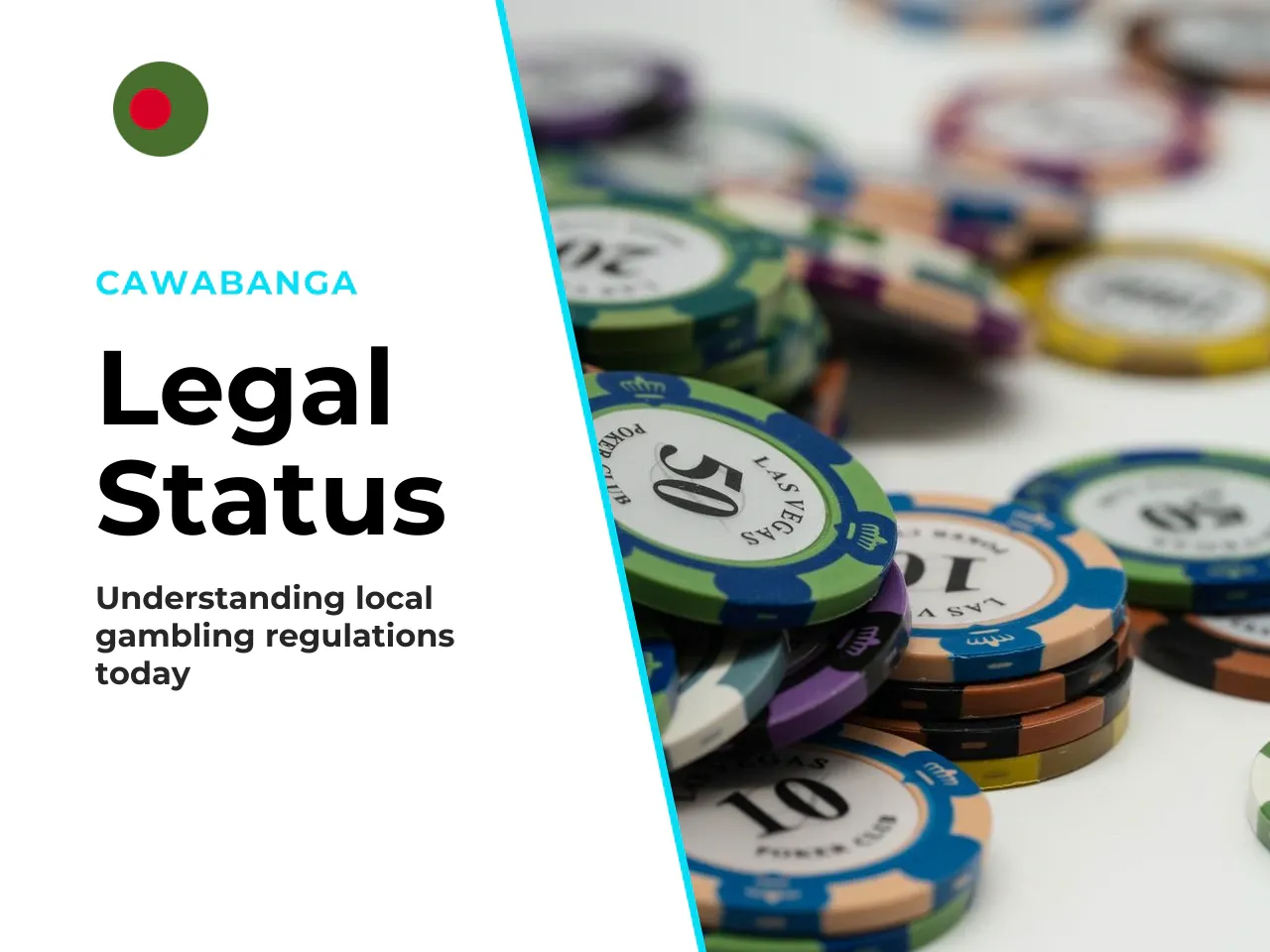 Legal status. The principal domestic instrument