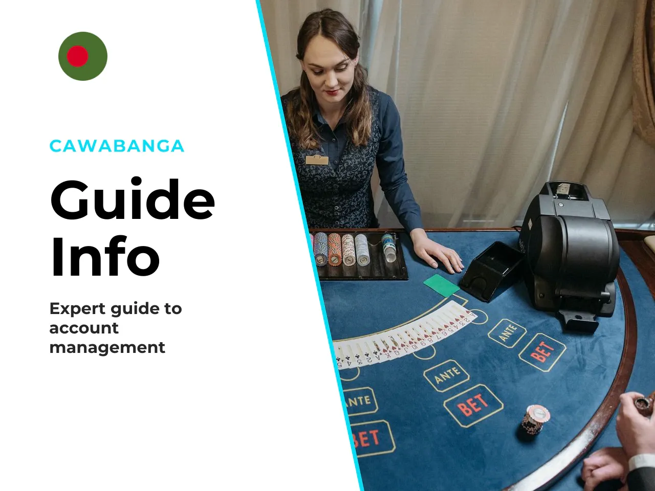 About this guide. Written and fact-checked