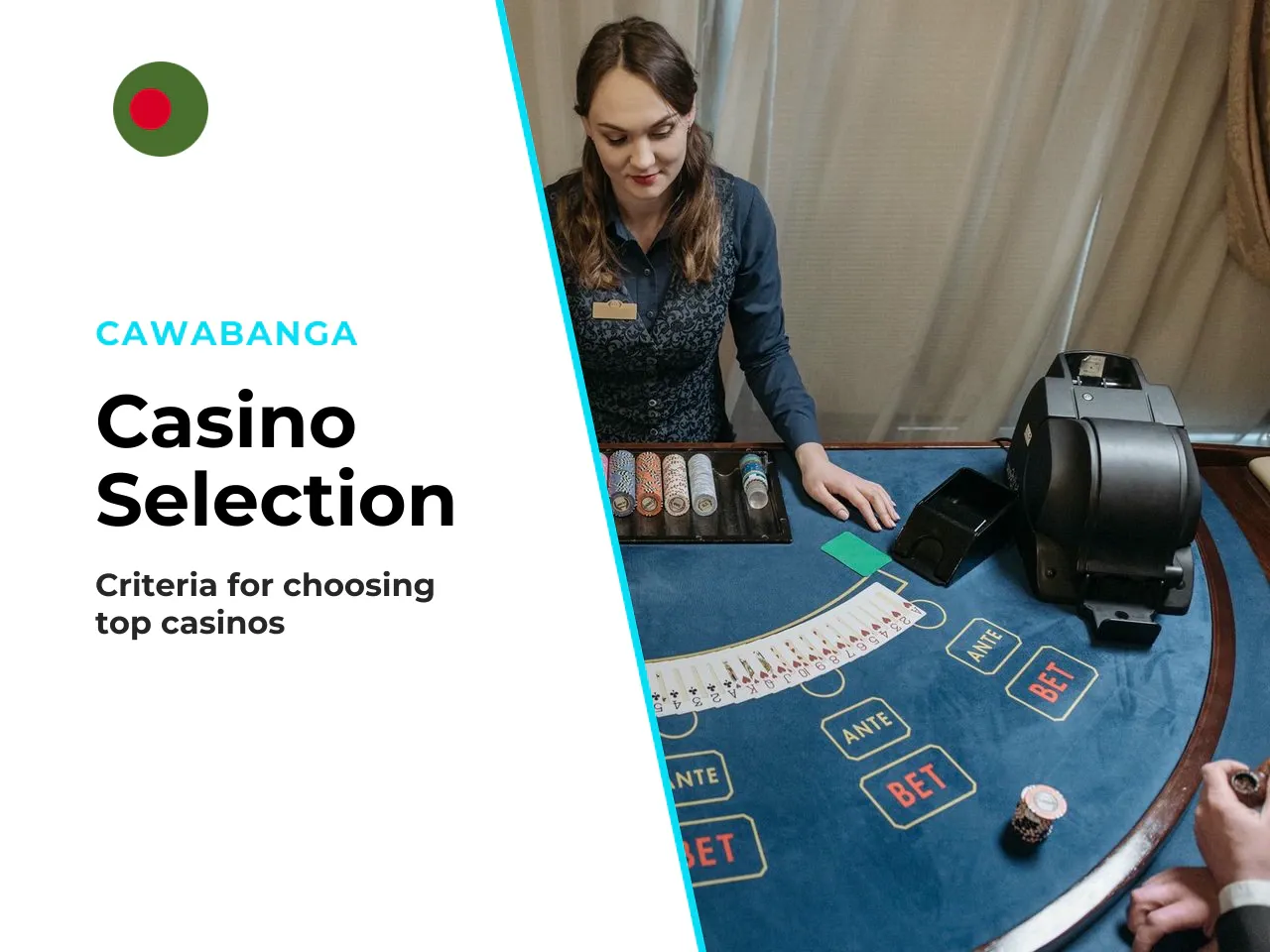 4.2. Comparative Criteria for Casino Selection