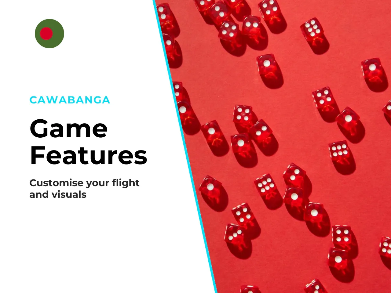2.3. Aircraft, Graphics, Social Functions and