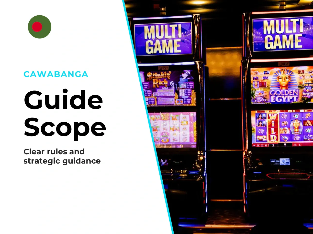 Who This Guide Is For, and