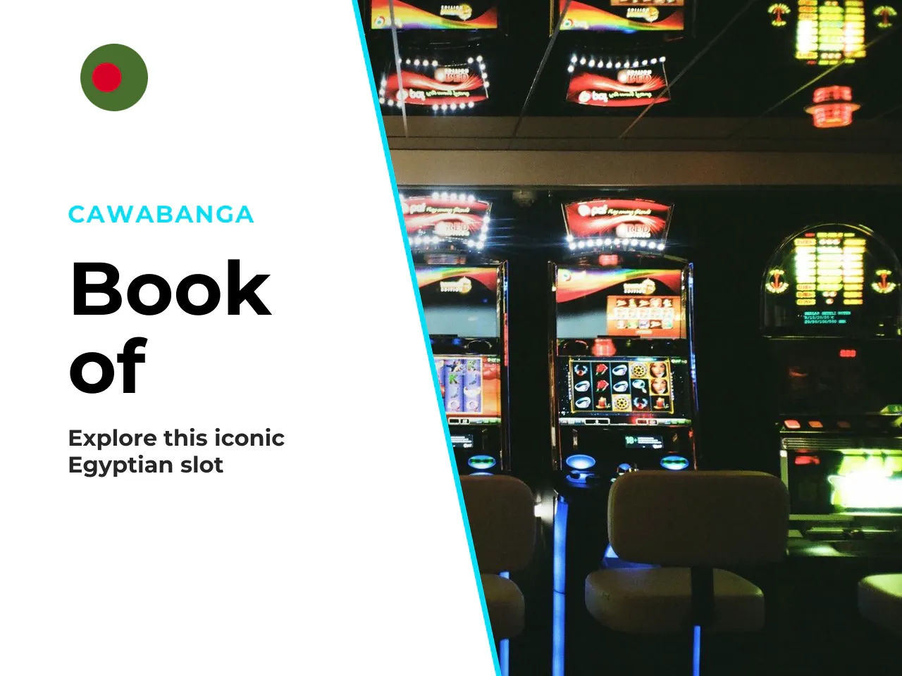 What the Book of Dead slot