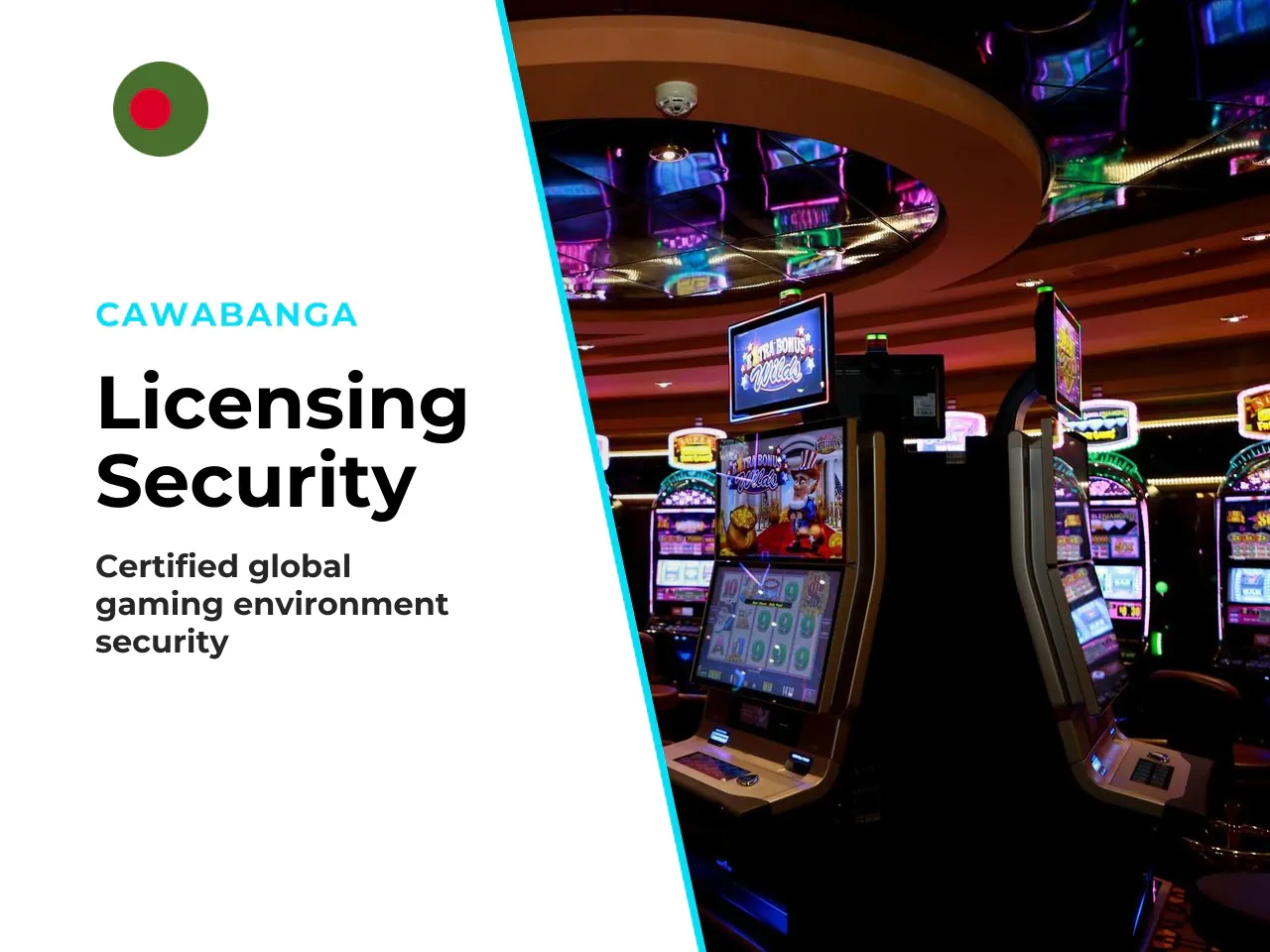 4.1. Licensing, Certification and Country Restrictions