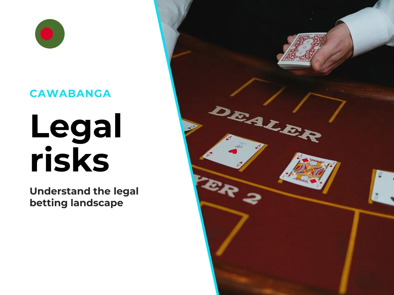 Errors and risks what users actually
