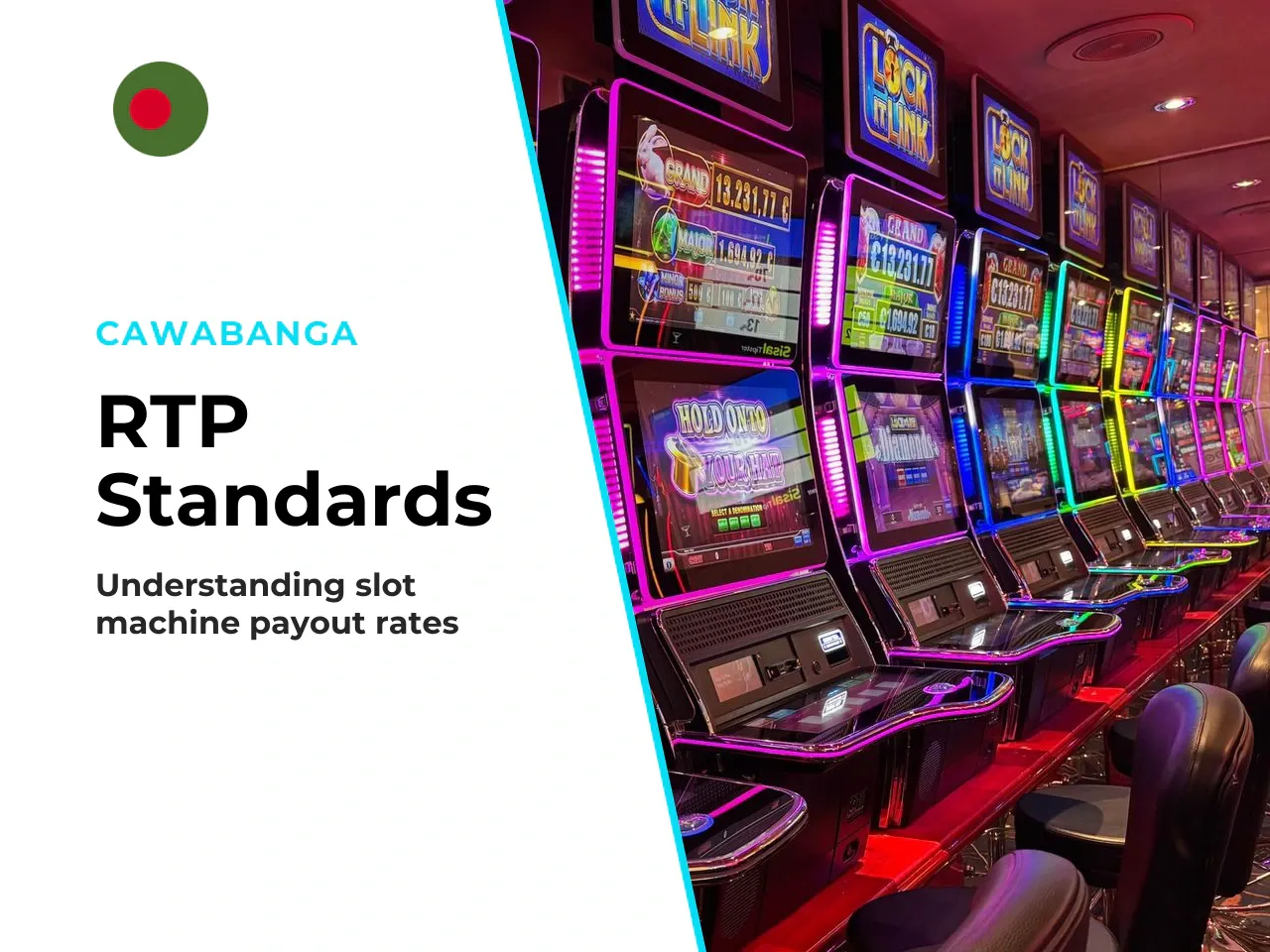10.1 RTP Standards and Industry Practices