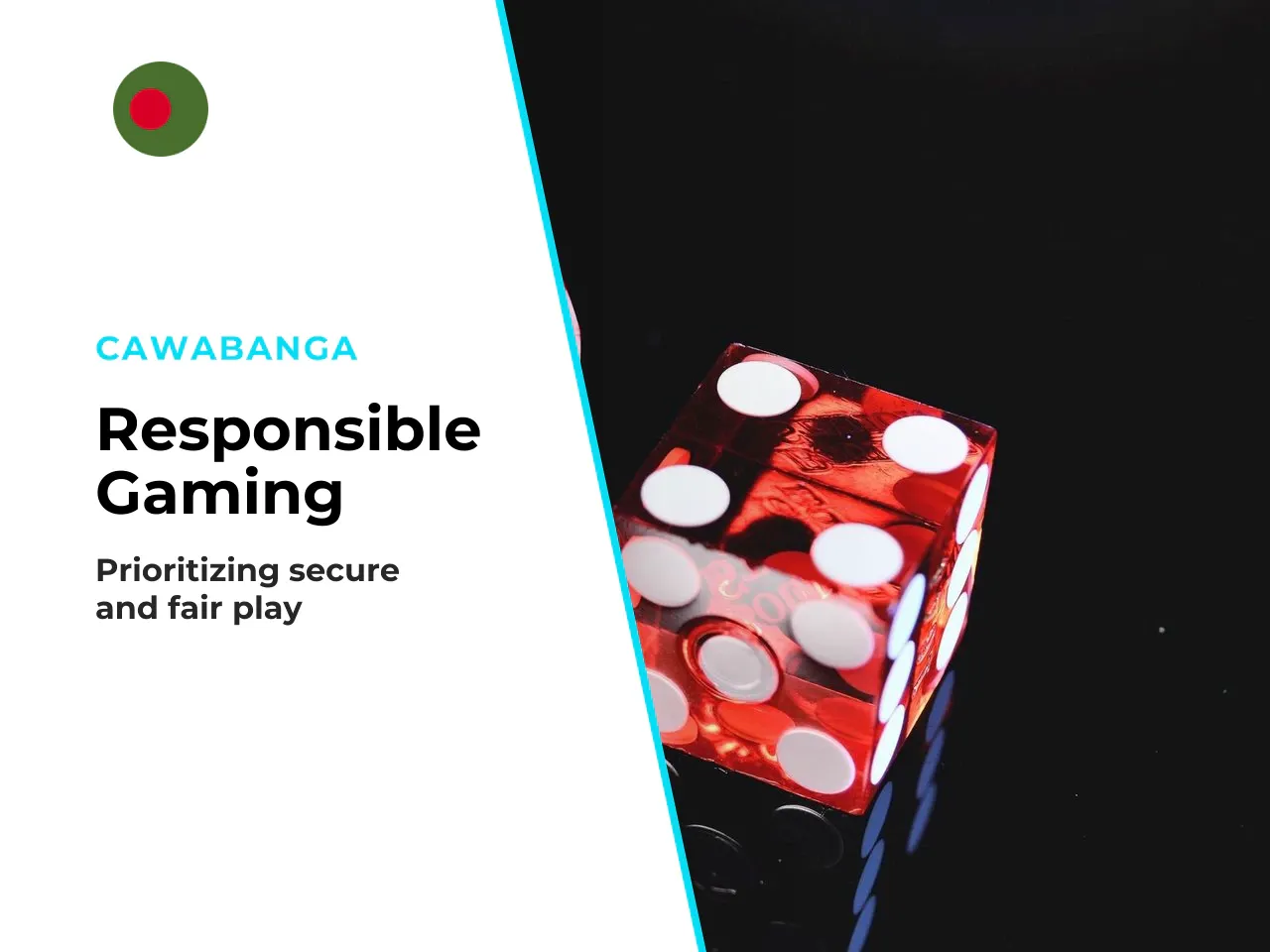 Design Standards and Consumer Protection. Regulators