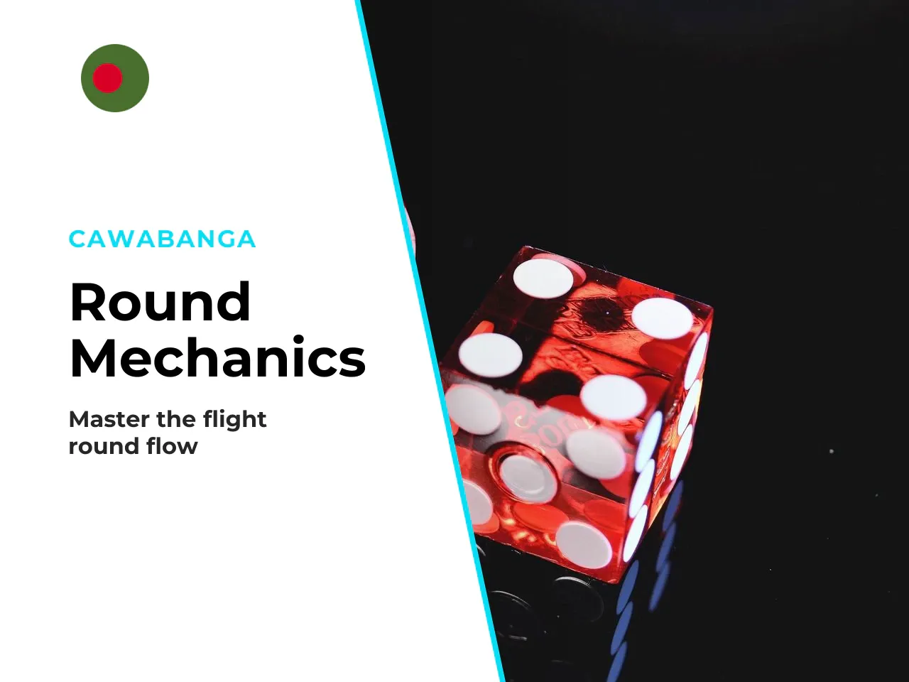 2.2. Aviatrix Round Flow, Dual Bets